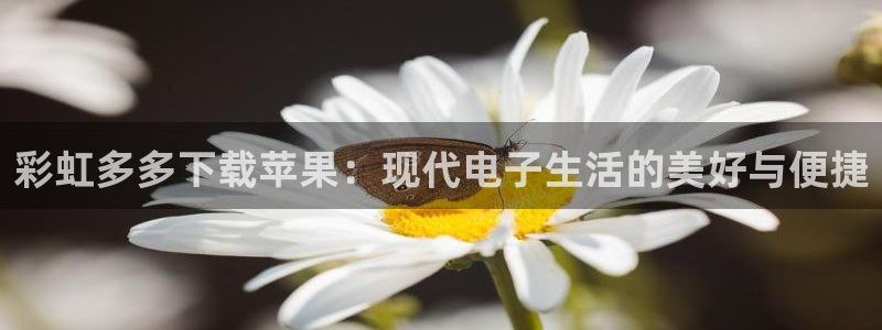 GB果博平台：彩虹多多下载苹果：现代电子生活的美好与便捷