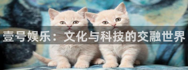 GB果博体育官网：壹号娱乐：文化与科技的交融世界