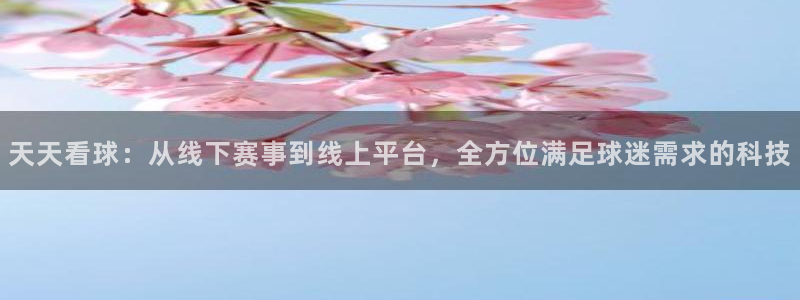 GB果博体育2官网入口：天天看球：从线下赛事到线上平台，全方位满足球迷需求的科技