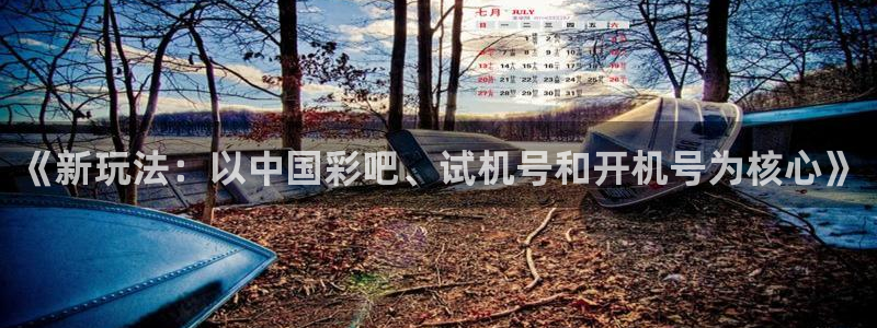 GB果博招商：《新玩法：以中国彩吧、试机号和开机号为核心》